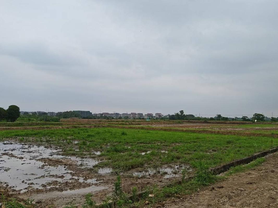 衢江区后溪镇上棠村三湖头土地公开挂牌招租