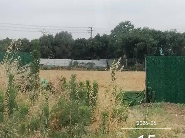 金湖公交总站土地租赁招租公告