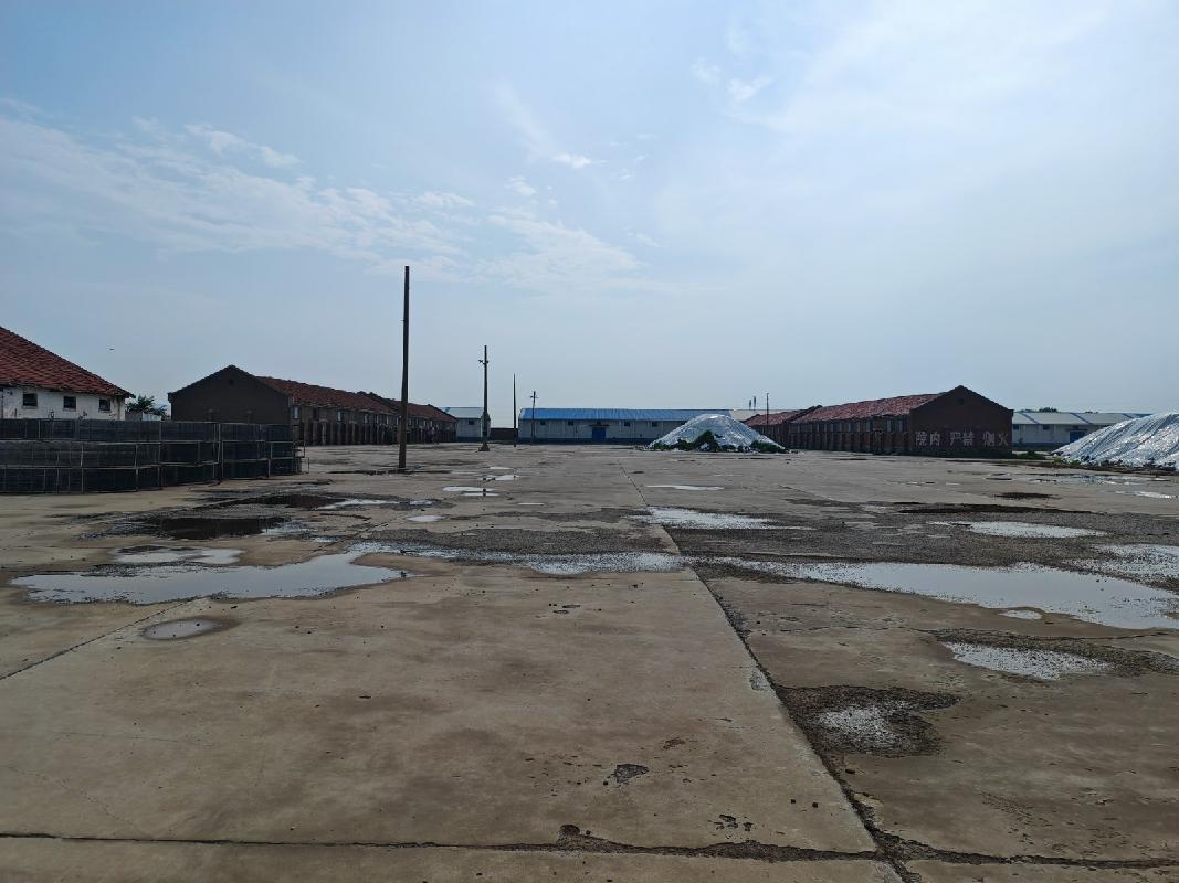 内蒙古自治区通辽市科尔沁区钱家店镇1处6150平方米土地使用权整体出租（7个月租金21000元，租期7个月）(国资监测编号GR2026NM1003049)