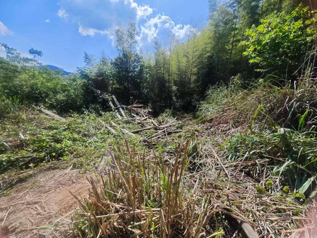 衢江区湖南镇华家村（原谢春祥户）宅基地使用权公开挂牌转让