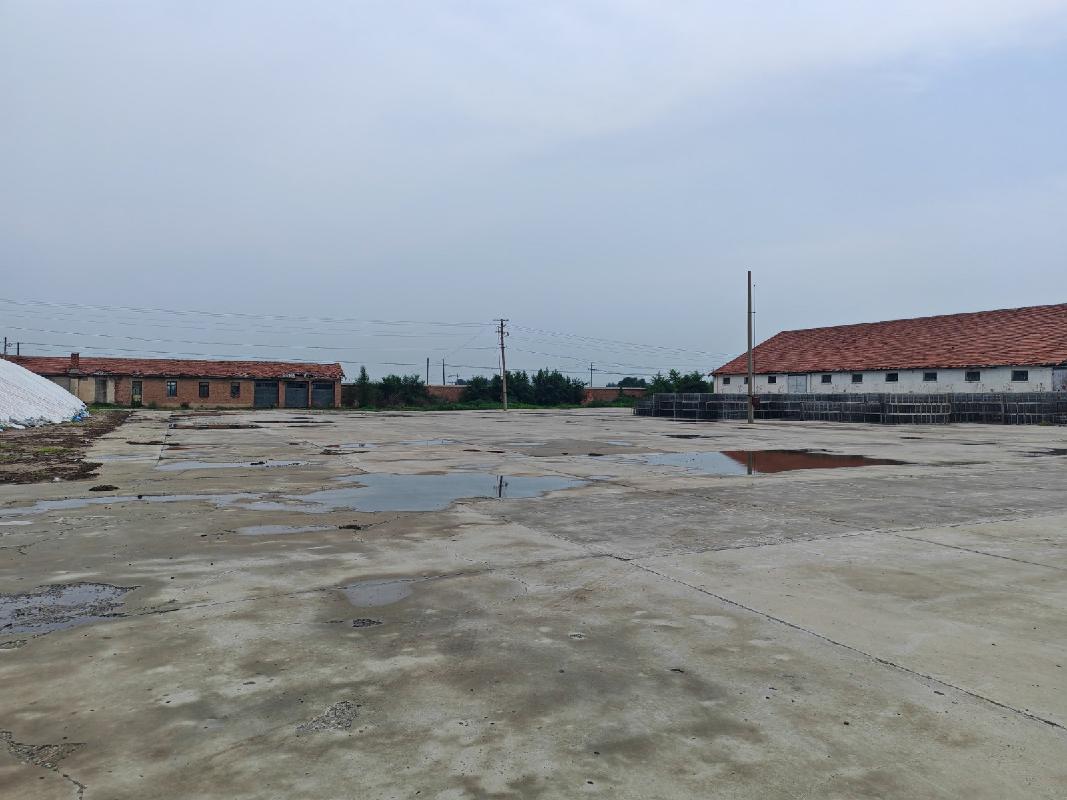 内蒙古自治区通辽市科尔沁区钱家店镇1处6150平方米土地使用权整体出租（7个月租金21000元，租期7个月）