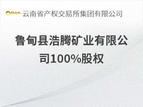 鲁甸县浩腾矿业有限公司100%股权