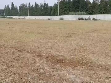 金湖公交总站土地租赁招租公告