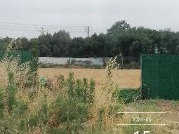 金湖公交总站土地租赁招租公告