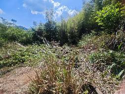 衢江区湖南镇华家村（原谢春祥户）宅基地使用权公开挂牌转让