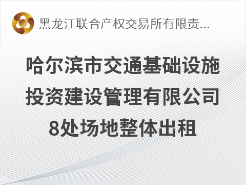 哈尔滨市交通基础设施投资建设管理有限公司8处场地整体出租交易公告(国资监测编号GR2026HL2004122)