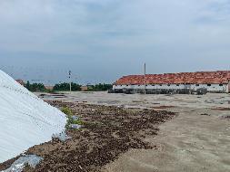 内蒙古自治区通辽市科尔沁区钱家店镇1处6150平方米土地使用权整体出租（7个月租金21000元，租期7个月）(国资监测编号GR2026NM1003049)