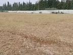金湖公交总站土地租赁招租公告