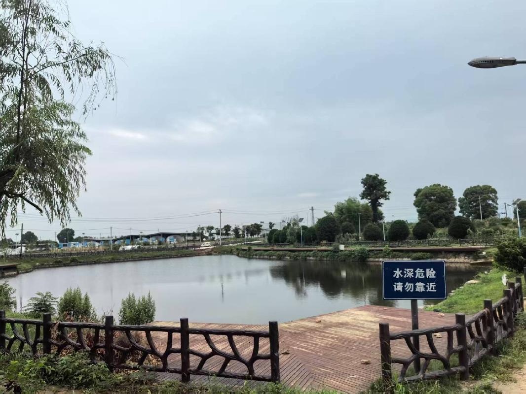 衢江区云溪乡希望新村一号井塘公开挂牌招租