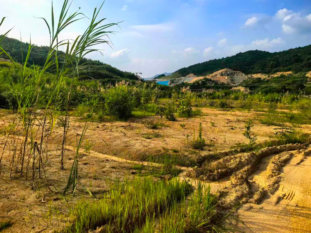 青阳县山阡里水库工程建设过程中产生的砂石资源及工程遗留砂石资源转让公告(国资监测编号GR2026AH2001777)