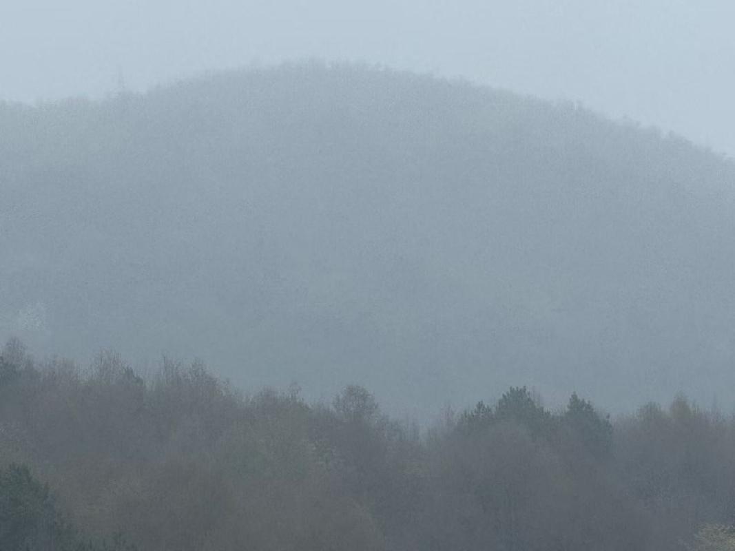 繁昌区峨山镇沈弄村股份经济合作社约600亩林地及林木10年期使用权出租公告