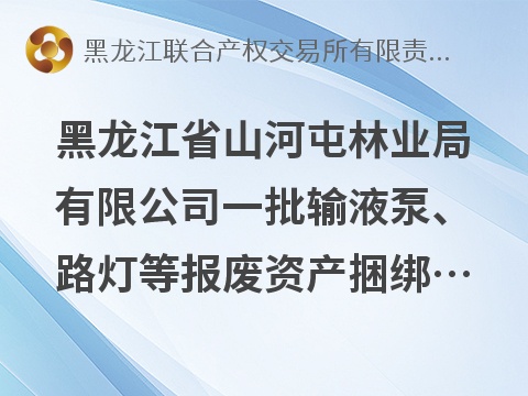黑龙江省山河屯林业局有限公司一批输液泵、路灯等报废资产捆绑转让交易公告(国资监测编号GR2026HL2004136)