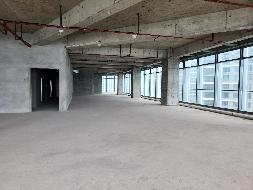 标的11：长沙市岳麓区滨江路195号广发银行大厦第27层物业招租(国资监测编号GR2026HN1002184)