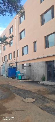 内蒙古农科院园艺所8号楼房产整体出租（首年租金底价700,423.74元，租期3年）(国资监测编号GR2026NM1003106-2)