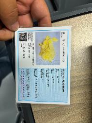 猪造型999足金摆件（506.37g）1个