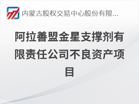 阿拉善盟金星支撑剂有限责任公司不良资产项目询价