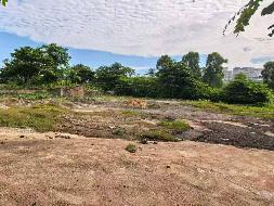 海口市秀英区向荣路10号东侧26262.89㎡工业用地招租