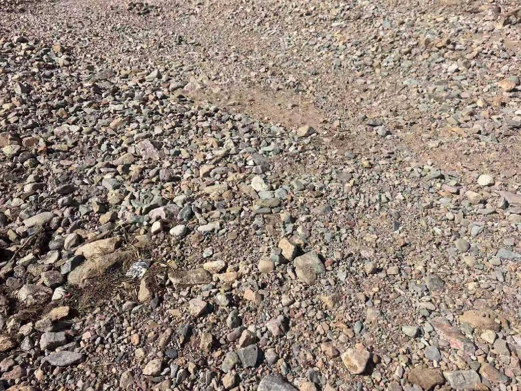 土默特右旗甘沟河道清淤疏浚工程挖出淤积物公开拍卖