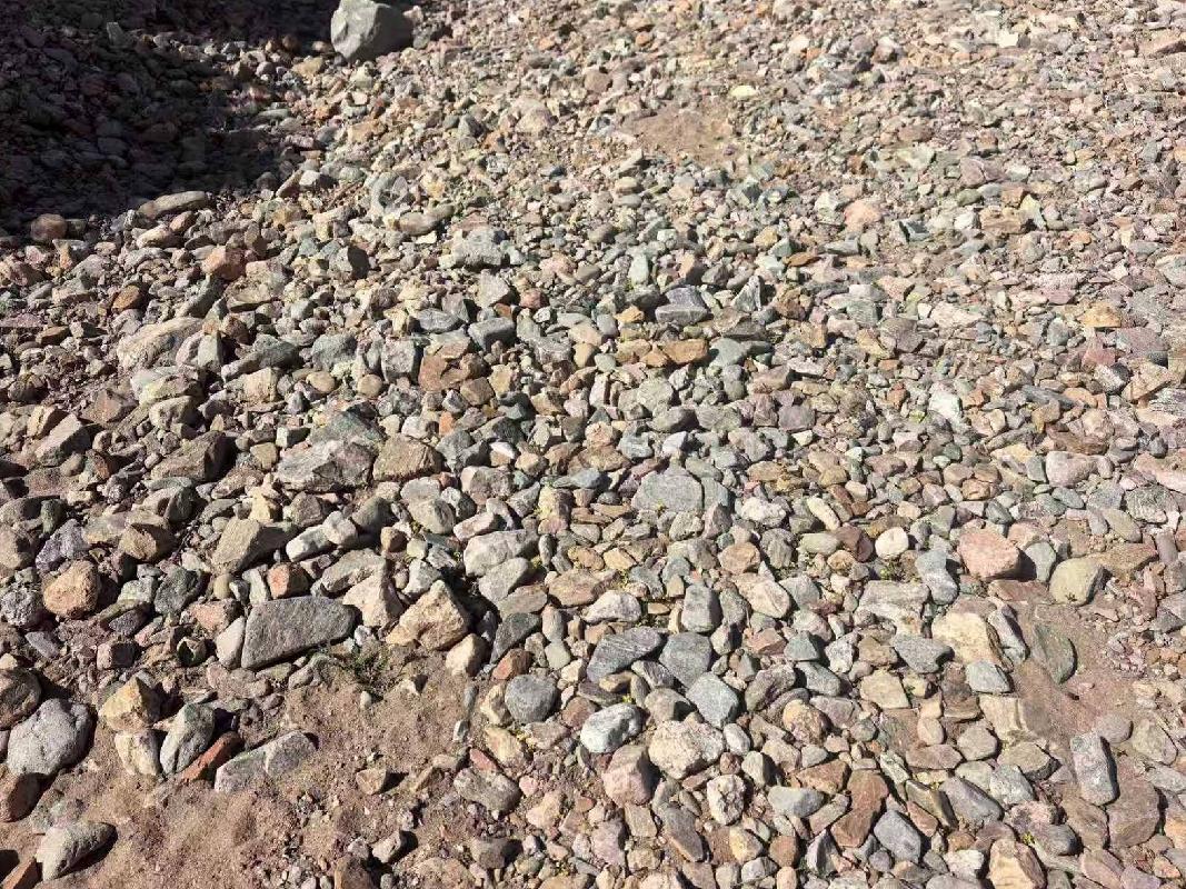 土默特右旗甘沟河道清淤疏浚工程挖出淤积物公开拍卖