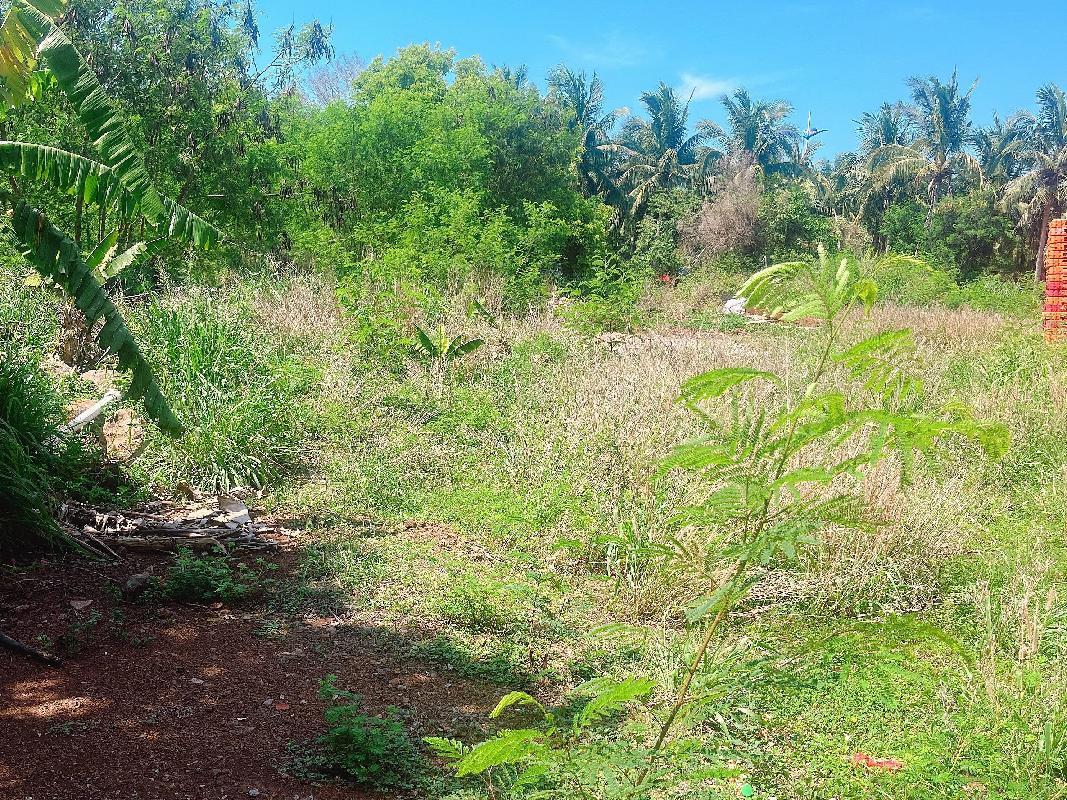 [儋州市]海南省洋浦经济开发区西部工业区D-01-13地块国有建设用地使用权转让