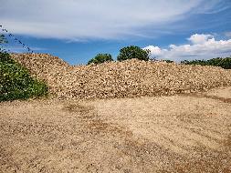 衢江区浮石街道航东村毛家岭土地公开挂牌招租