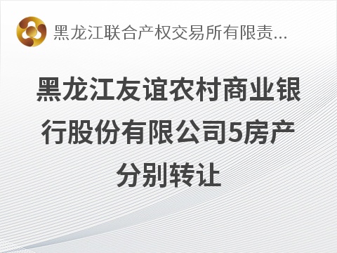 黑龙江友谊农村商业银行股份有限公司5处房产分别转让交易公告