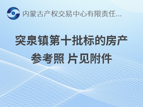 突泉县突泉镇第十批（9套）商业房产分别转让