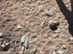土默特右旗甘沟河道清淤疏浚工程挖出淤积物公开拍卖