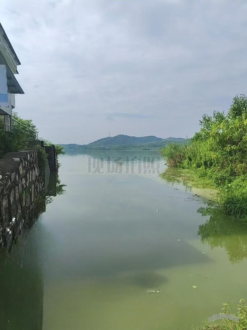 池州市贵池区十八索实验区部分水域2026年渔业起捕权及渔业资源转让公告