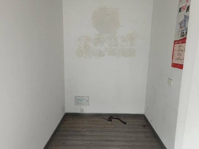 常州市钟楼区华林家园33-9号商铺（原梅庄路33-9号）招租公告