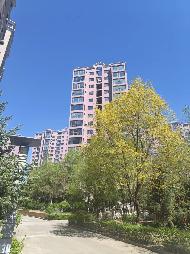 内蒙古银行股份有限公司乌兰察布分行持有的呼和浩特市蒙鑫国际小区35套住宅转让
