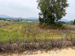 衢江区莲花镇外黄村茅铺山土地公开挂牌招租