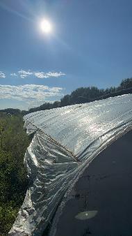 乌兰浩特市太本站镇建设村集体经济组织6栋大棚整体出租（租期：1年，租金底价：9000元/年）（扶贫资产）