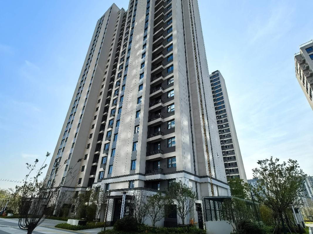 江苏徐州邳州市桃李风华府12#2401招租项目公告(国资监测编号GR2026JS4002830)