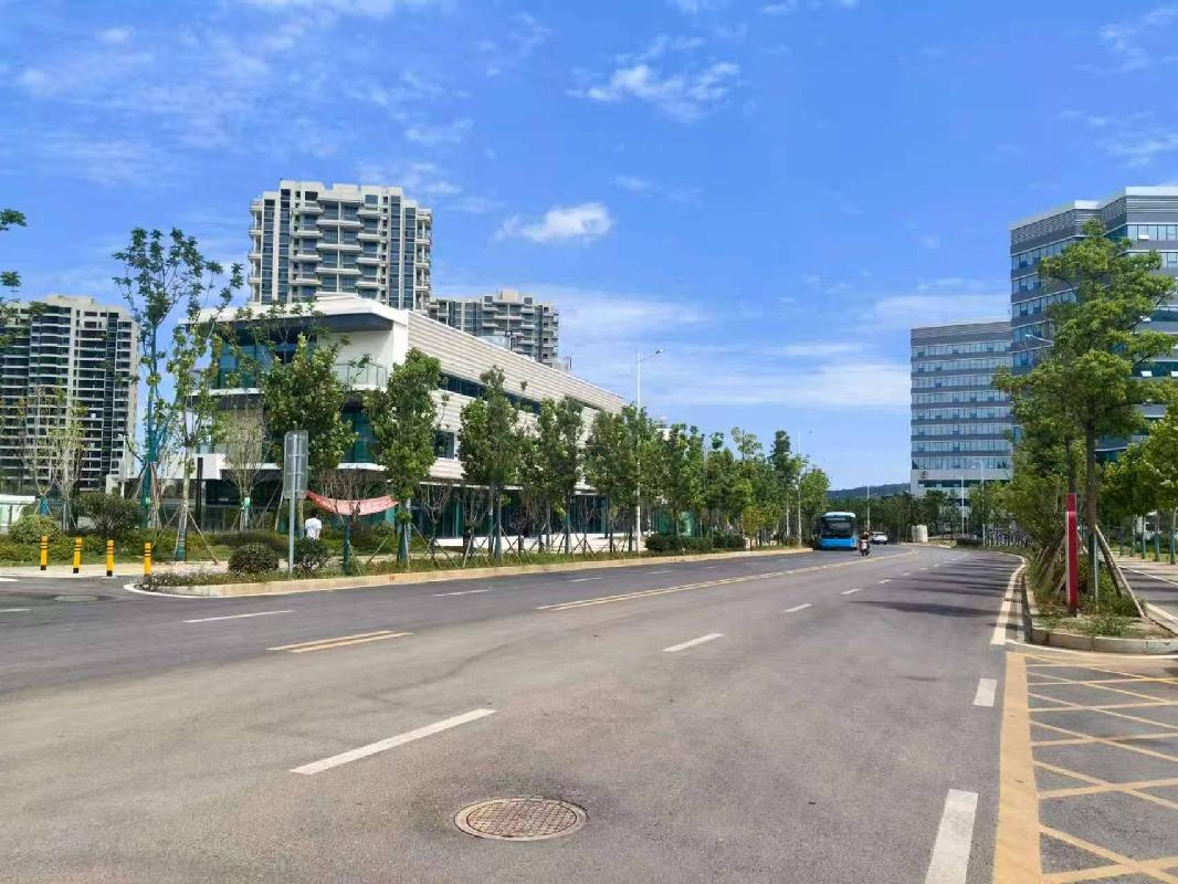岳阳市中心医院配套商业4#商业楼出租(国资监测编号GR2026HN1002256)