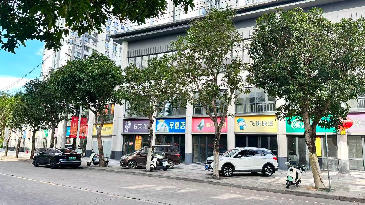 定安金城·金嘉房源居21间等商铺单间分别招租