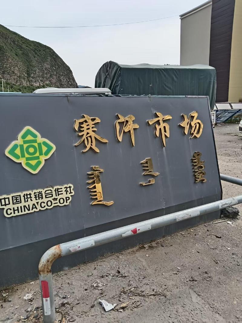 克什克腾旗经棚镇园林路赛罕农副产品交易市场整体出租（年租金底价985000.00元，租期3年）(国资监测编号GR2026NM1003537)