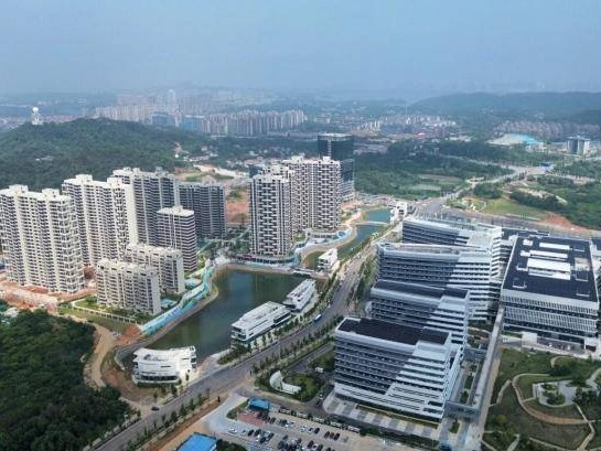 岳阳市中心医院配套商业4#商业楼出租(国资监测编号GR2026HN1002256)