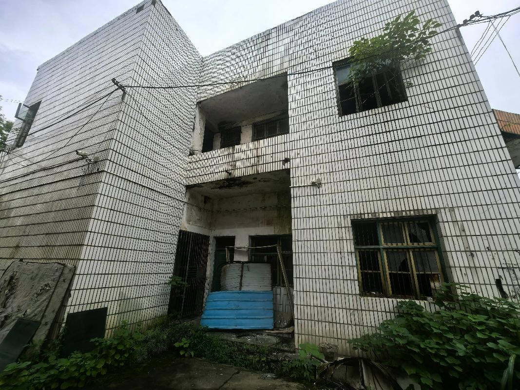 [益阳市]【中石化益阳分公司】桃江三堂街加油站站房及辅助用房
