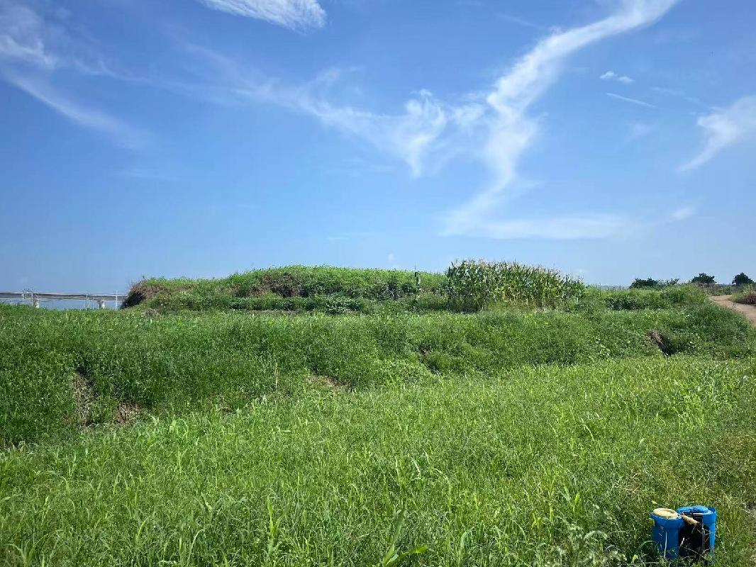 衢江区莲花镇朱杨村原千亩方项目土地公开挂牌招租