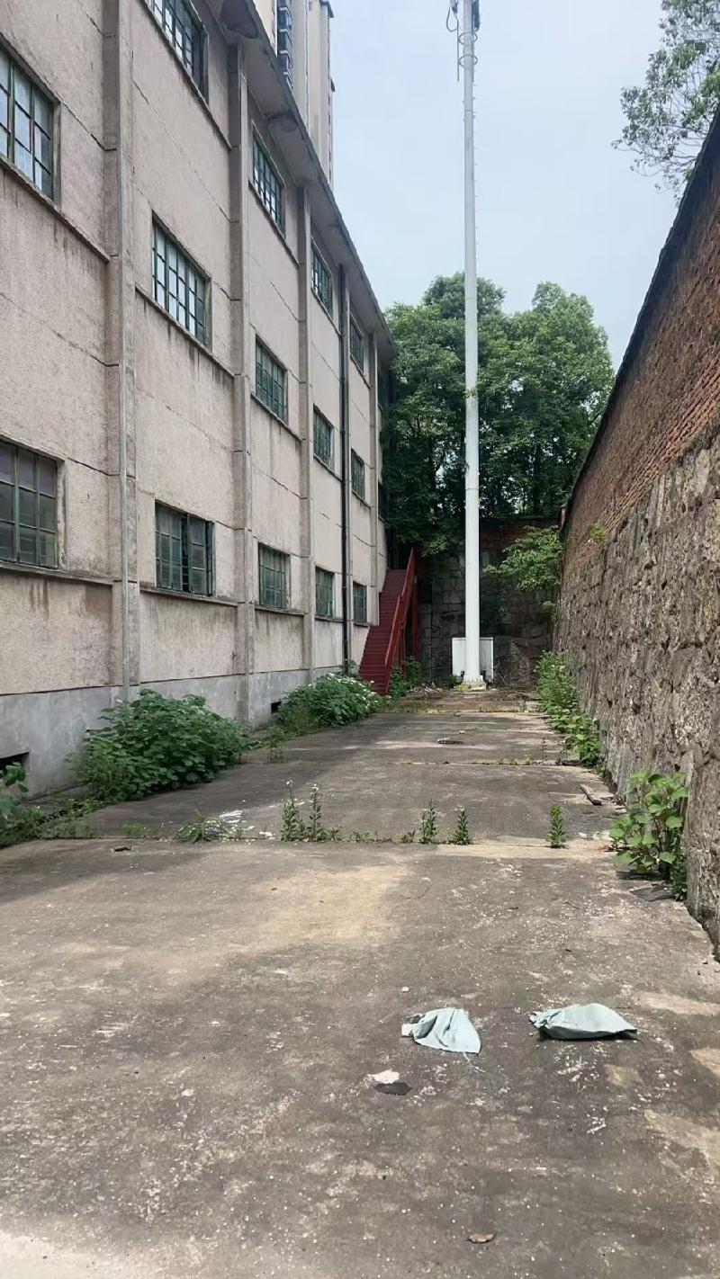 长沙市岳麓区岳华路87号咸嘉湖仓库改造焕新项目(国资监测编号GR2026HN1002275)