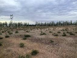 甘肃省酒泉市瓜州县渊泉镇北大桥集镇瓜州新区土地使用权及地上建筑物转让公告