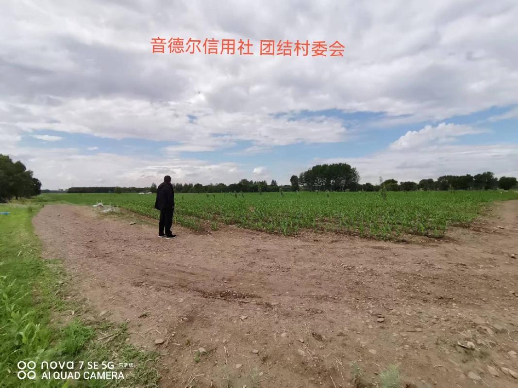 内蒙古农商行扎赉特旗支行位于扎赉特旗音德尔镇团结村约35亩林地经营权出租（租金底价2870.00元，租期自合同签订之日起至2026年12月31日）
