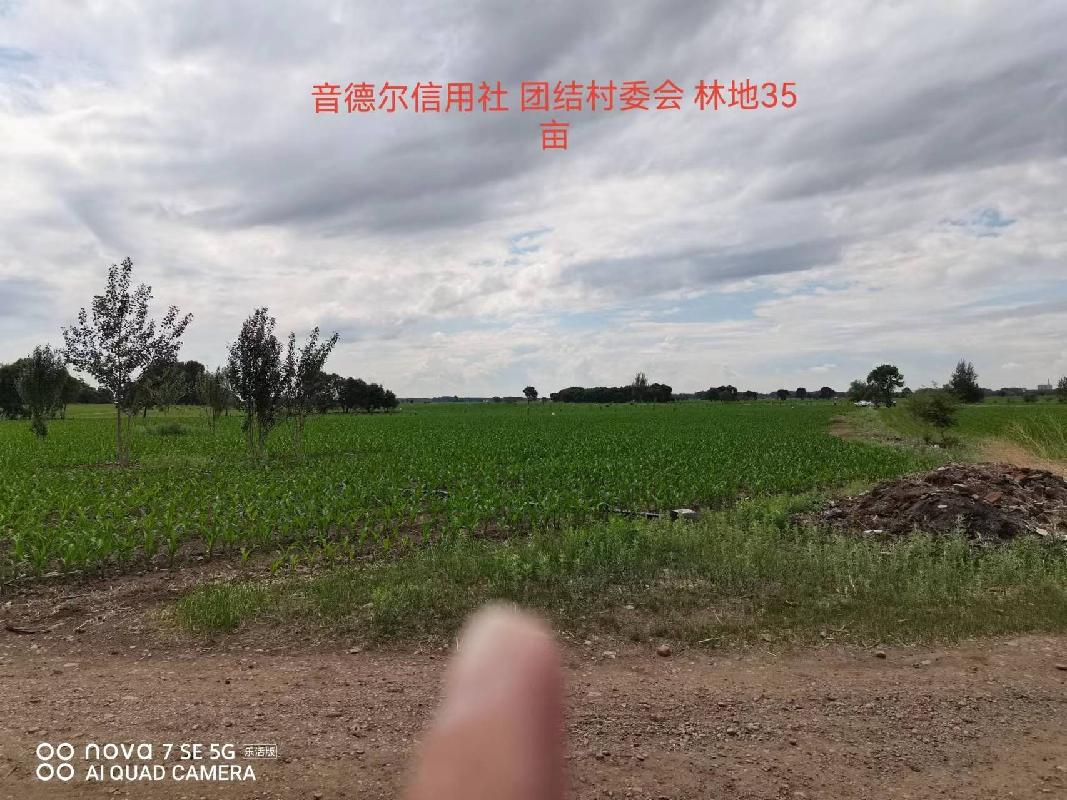 内蒙古农商行扎赉特旗支行位于扎赉特旗音德尔镇团结村约35亩林地经营权出租（租金底价2870.00元，租期自合同签订之日起至2026年12月31日）