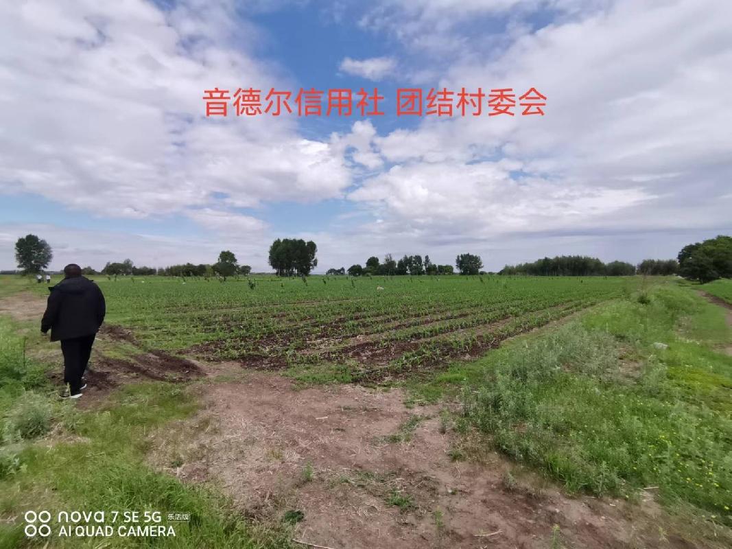 内蒙古农商行扎赉特旗支行位于扎赉特旗音德尔镇团结村约35亩林地经营权出租（租金底价2870.00元，租期自合同签订之日起至2026年12月31日）