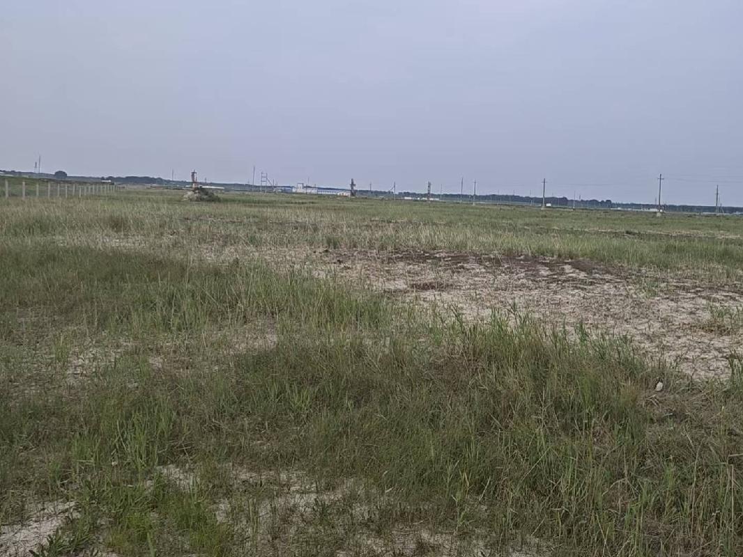 大庆市大同区绿韵牧草种植有限公司295205.48亩草原经营权分别出租公告
