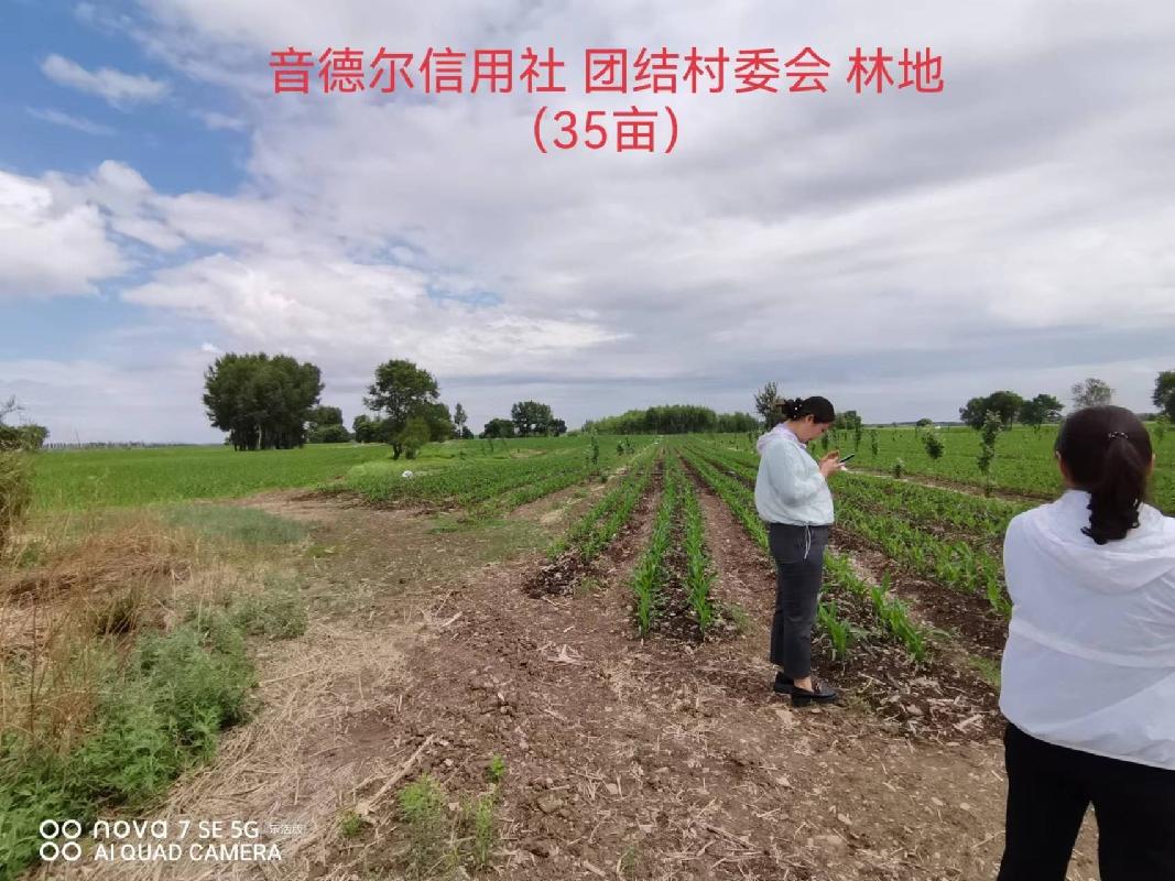 内蒙古农商行扎赉特旗支行位于扎赉特旗音德尔镇团结村约35亩林地经营权出租（租金底价2870.00元，租期自合同签订之日起至2026年12月31日）