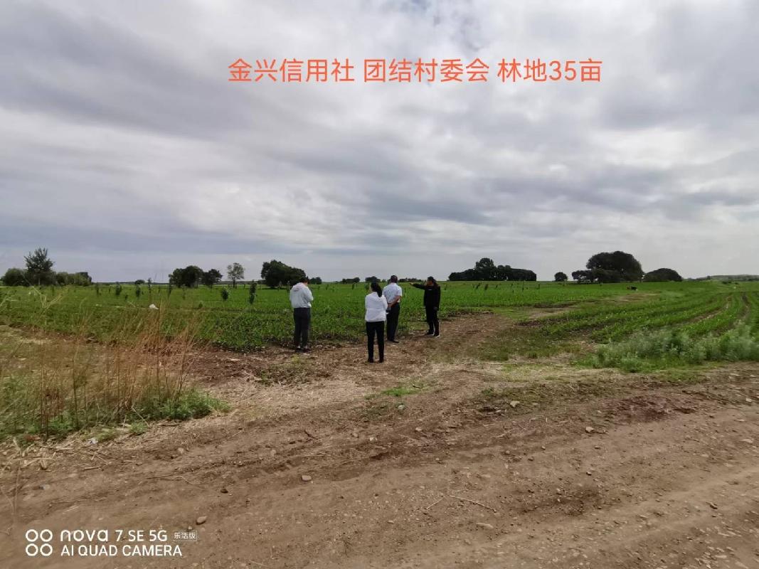 内蒙古农商行扎赉特旗支行位于扎赉特旗音德尔镇团结村约35亩林地经营权出租（租金底价2870.00元，租期自合同签订之日起至2026年12月31日）