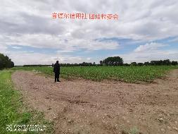 内蒙古农商行扎赉特旗支行位于扎赉特旗音德尔镇团结村约35亩林地经营权出租（租金底价2870.00元，租期自合同签订之日起至2026年12月31日）