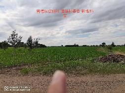内蒙古农商行扎赉特旗支行位于扎赉特旗音德尔镇团结村约35亩林地经营权出租（租金底价2870.00元，租期自合同签订之日起至2026年12月31日）